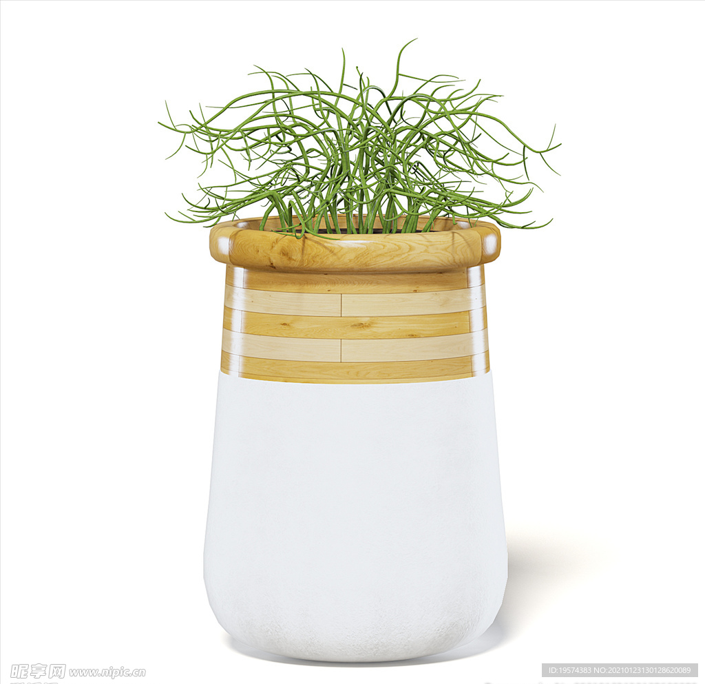 C4D模型 绿玉树