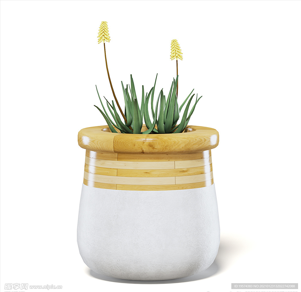 C4D模型 火炬花