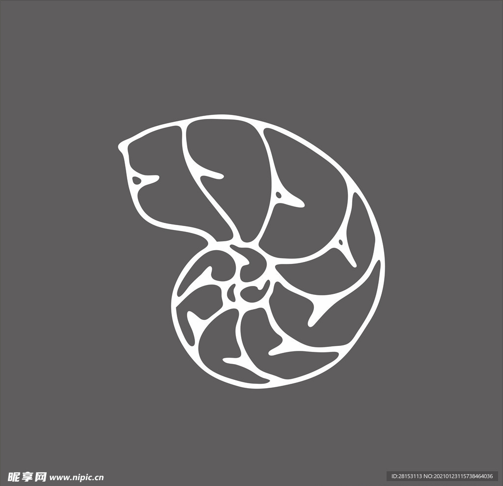 贝壳