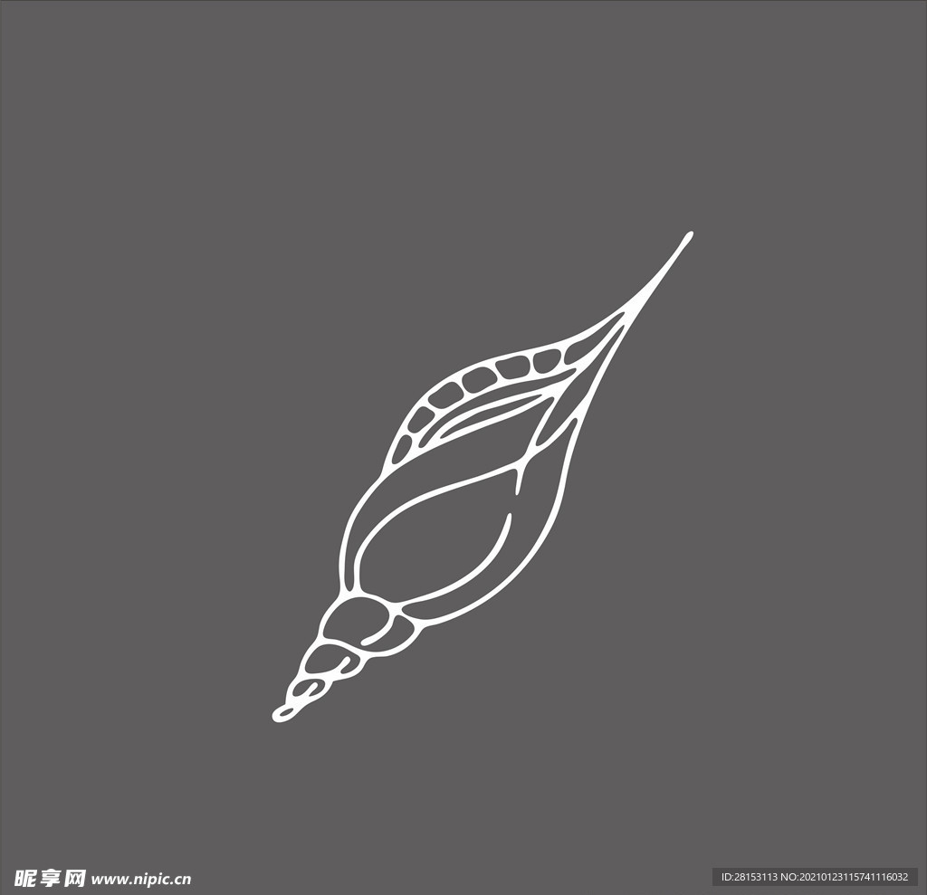 贝壳