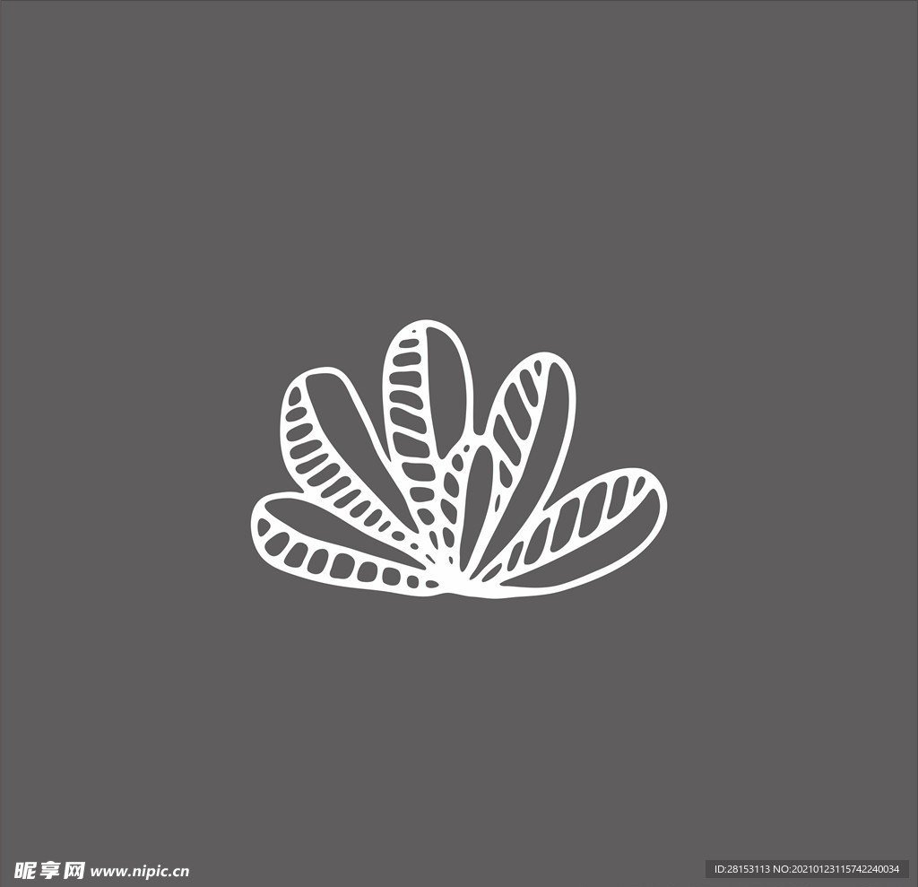 贝壳