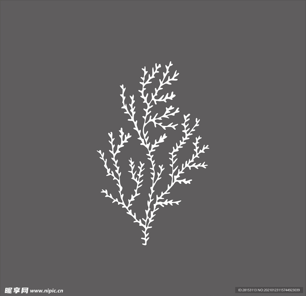 海草