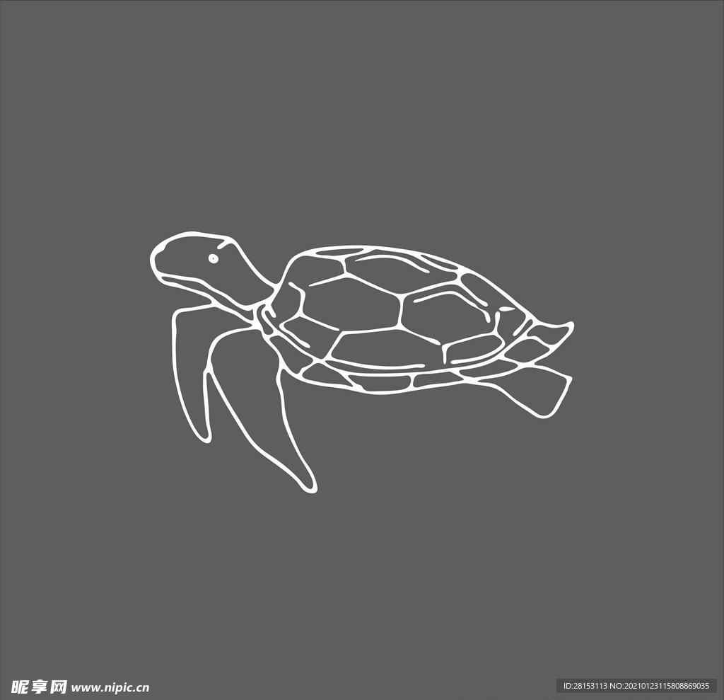 海龟