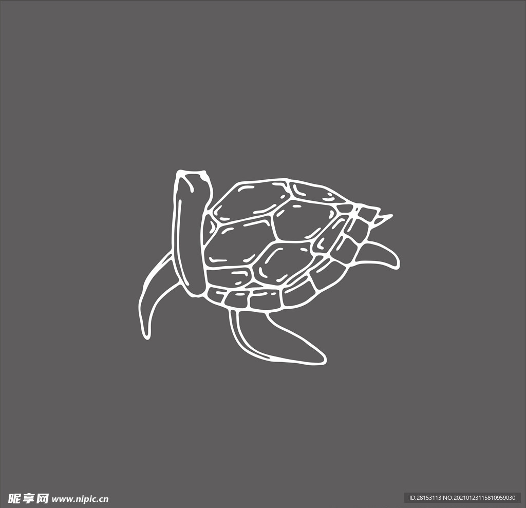海龟