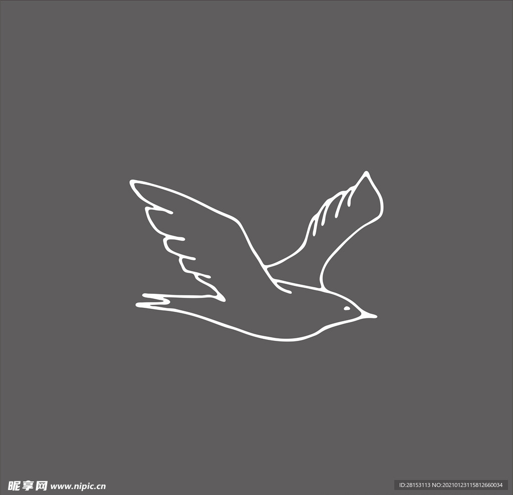 海鸥