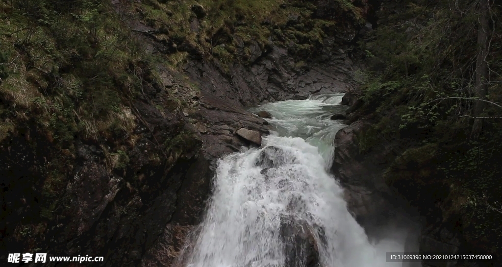 高清山间清泉喷洒而下