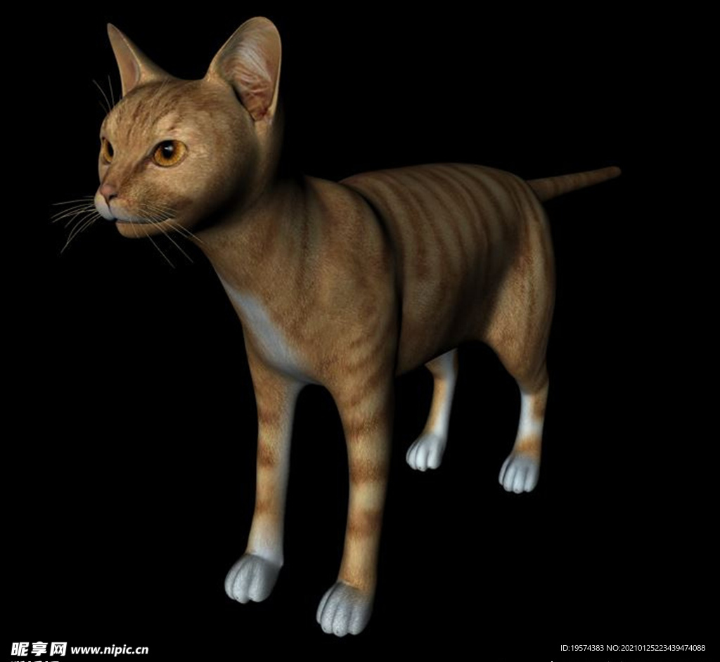 C4D模型 猫