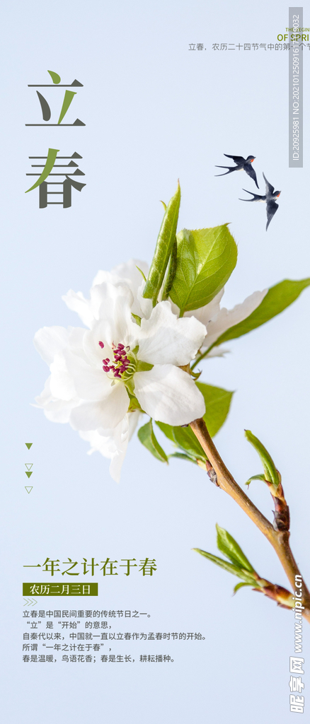 立春