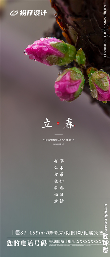 节气海报 地产立春节