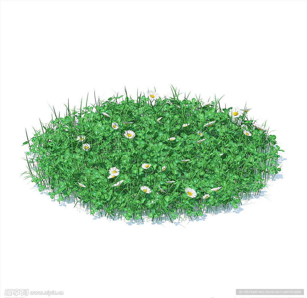 C4D模型 菊花地草地草坪