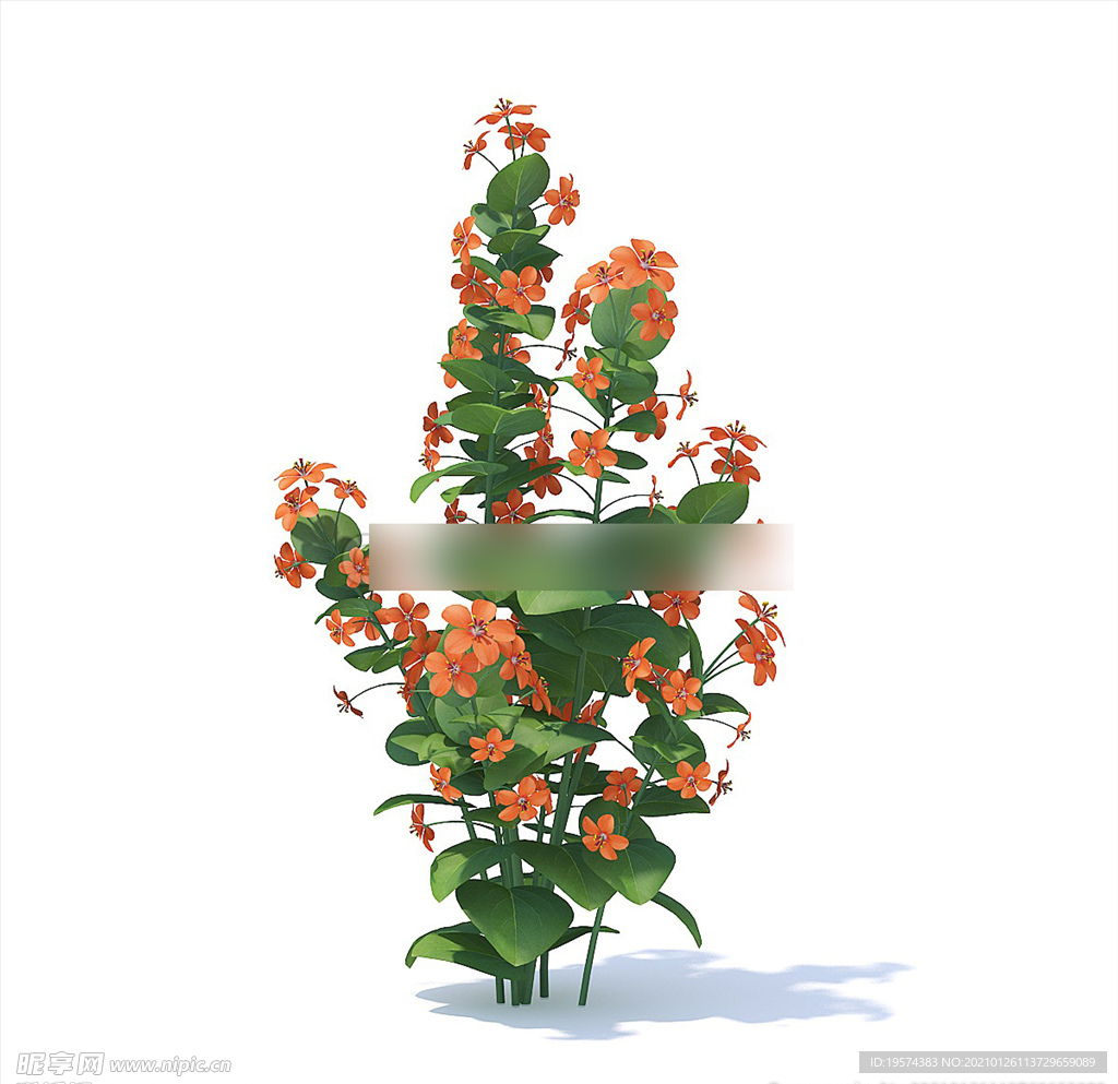 C4D模型 倒提壶花草