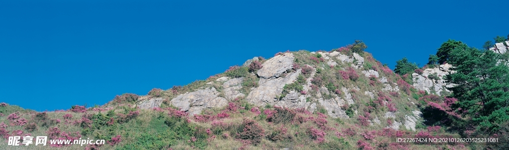 广角风景
