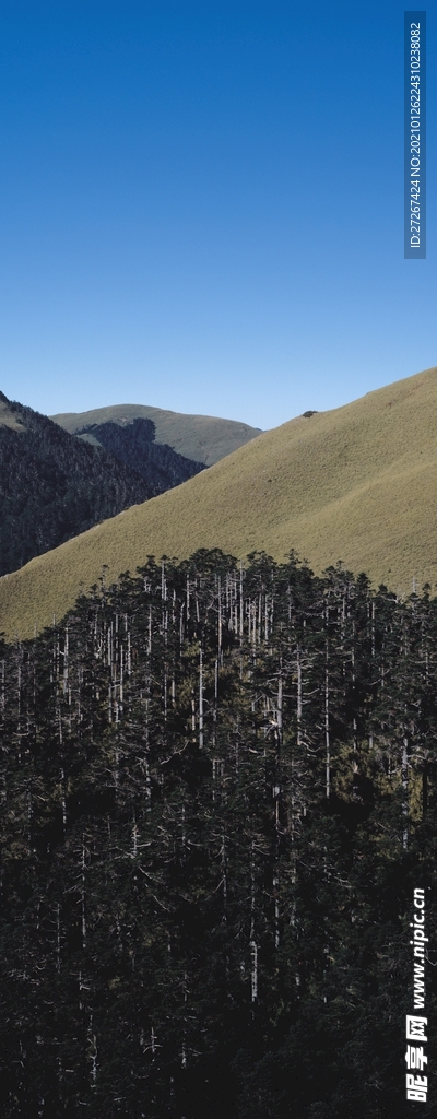 广角风景