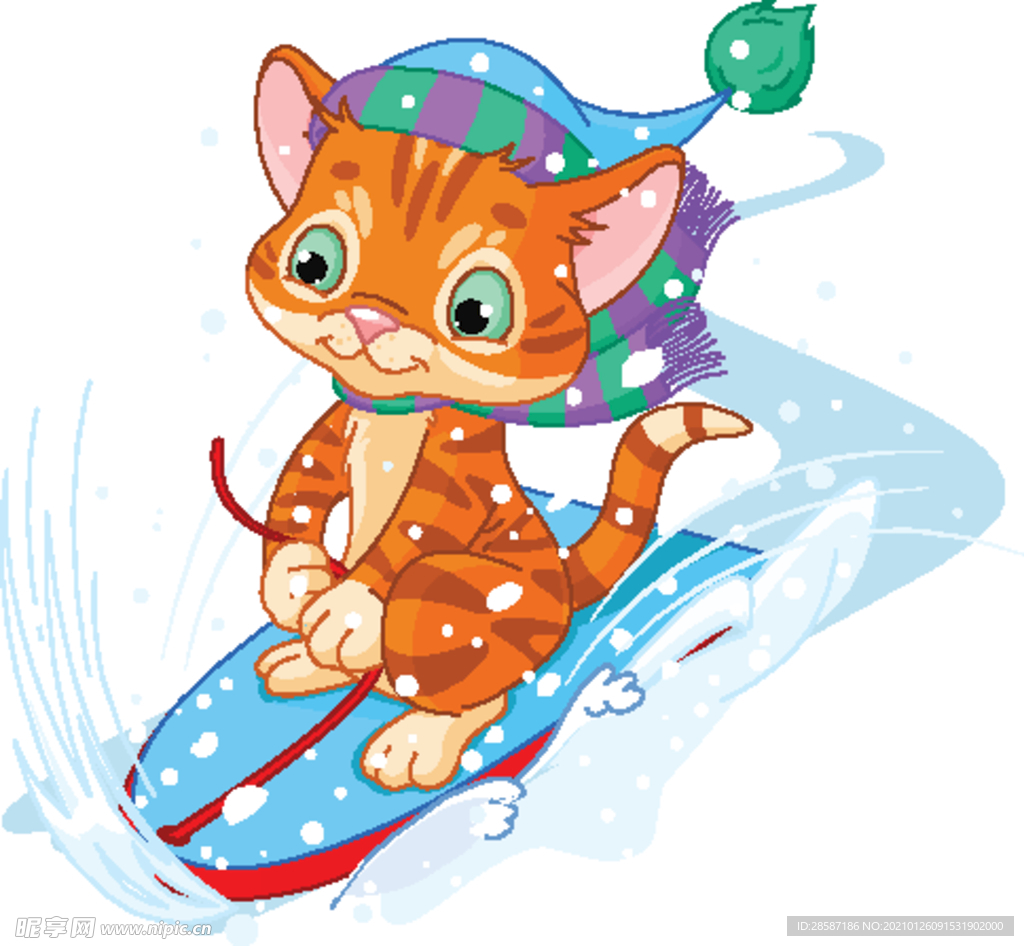 滑雪的猫