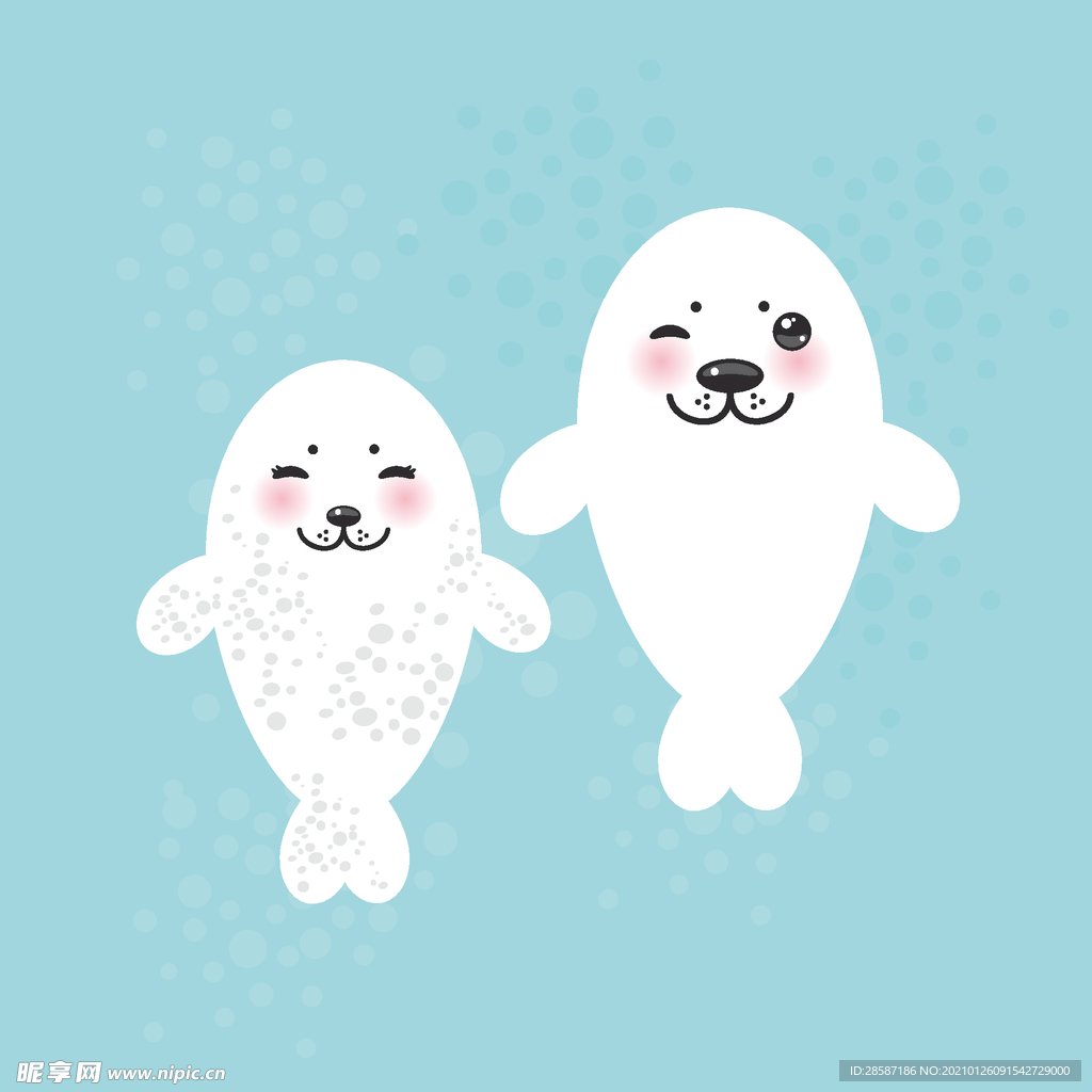 可爱海豹