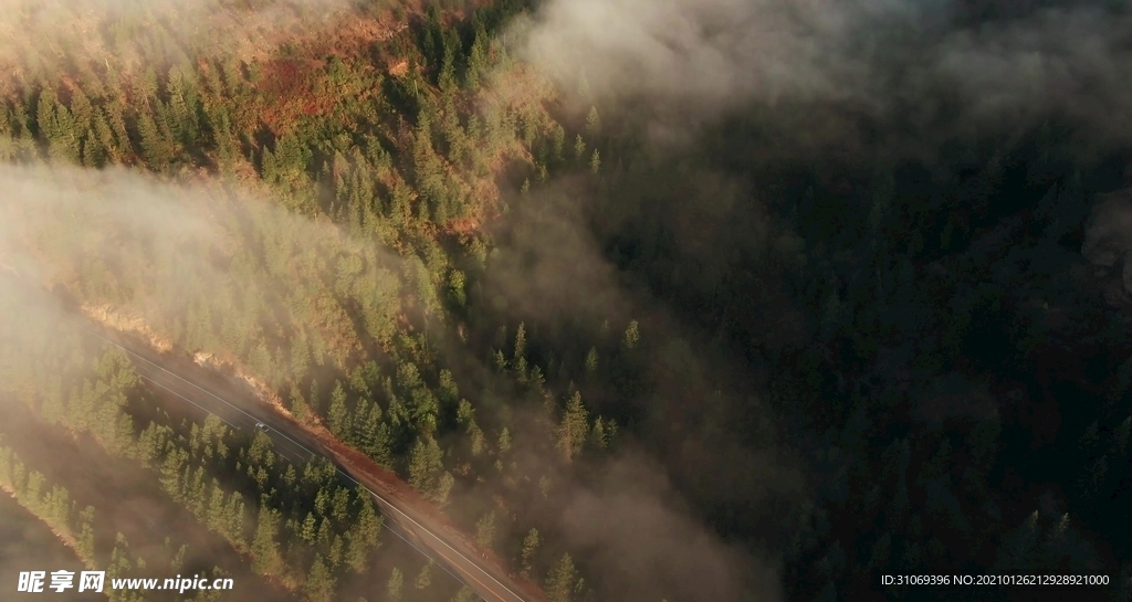 高清航拍浓雾下森林里公路