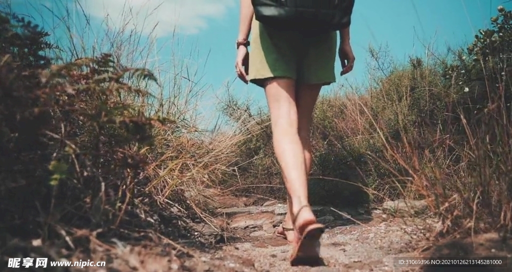 高清漫步行走在草丛中