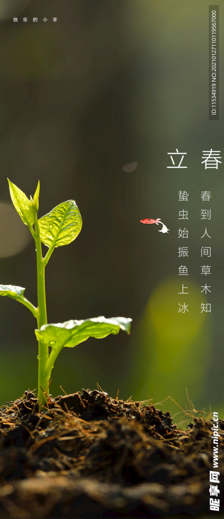 立春节气海报