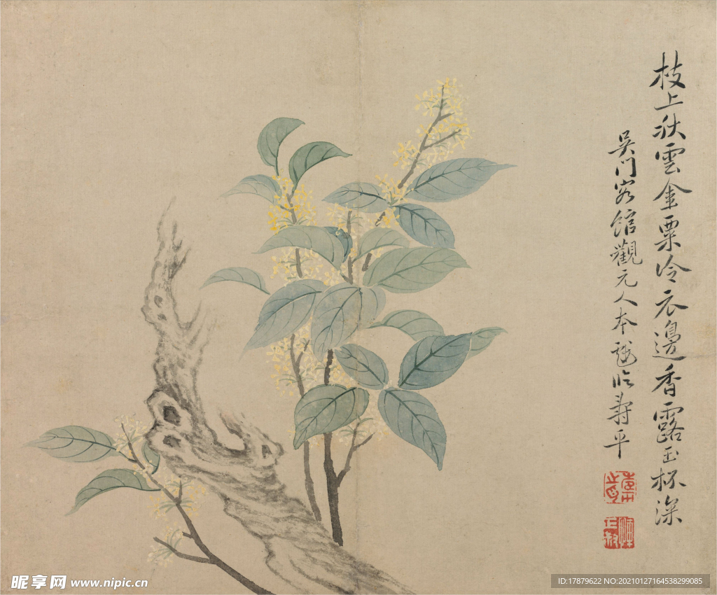 恽寿平国画 桂花