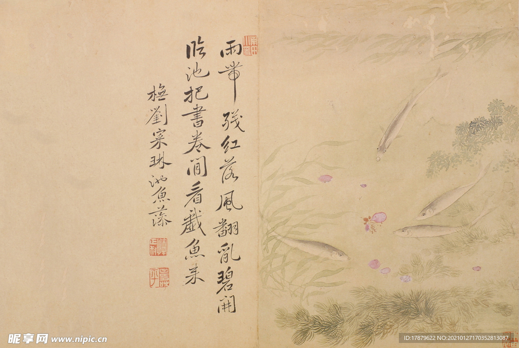 恽寿平国画 落花游鱼