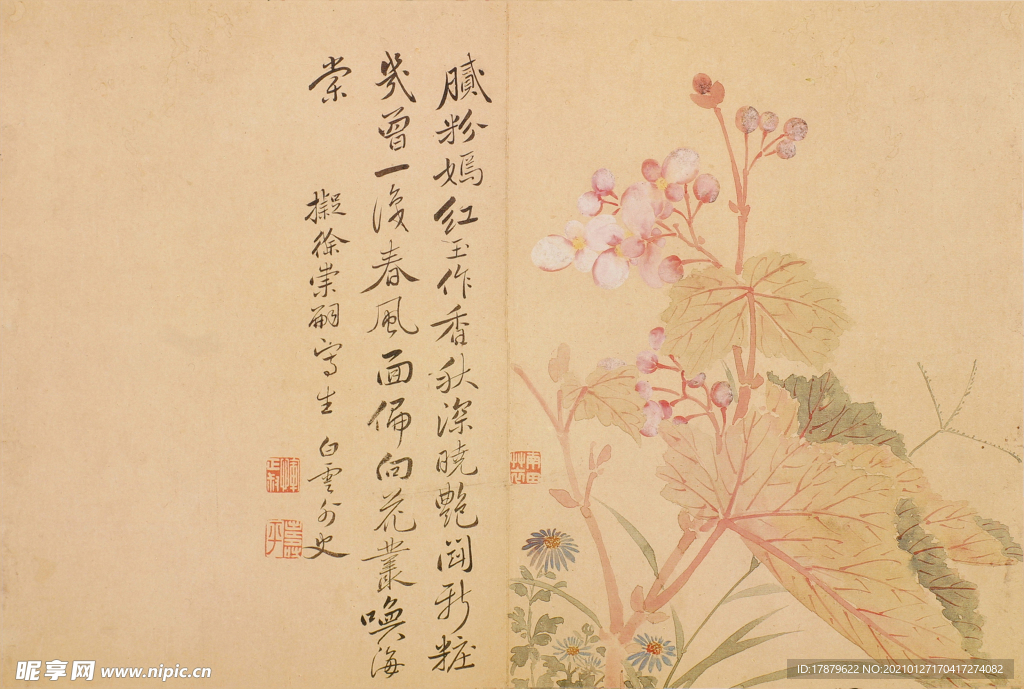 恽寿平国画 腻粉嫣红