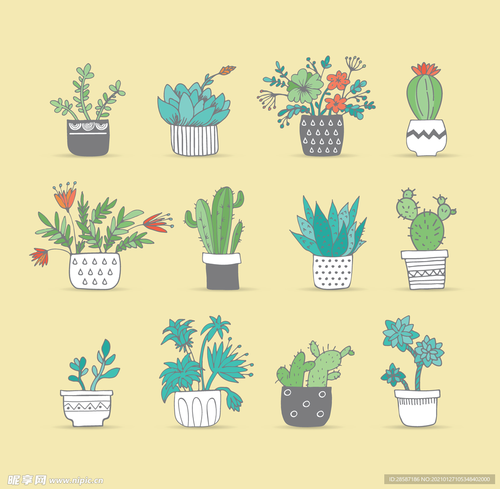 卡通植物