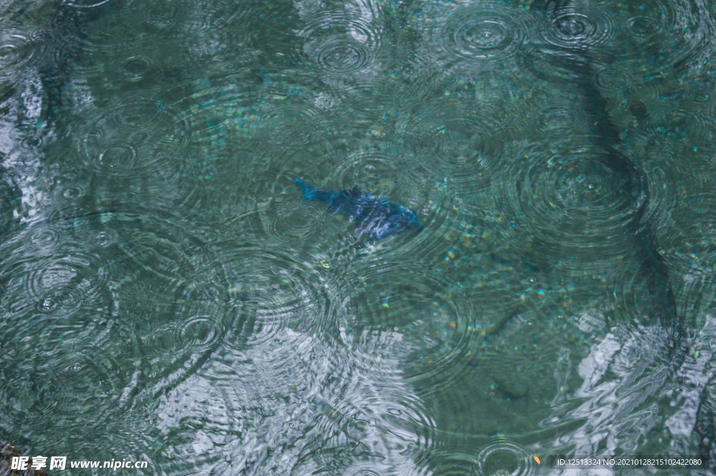 雨水