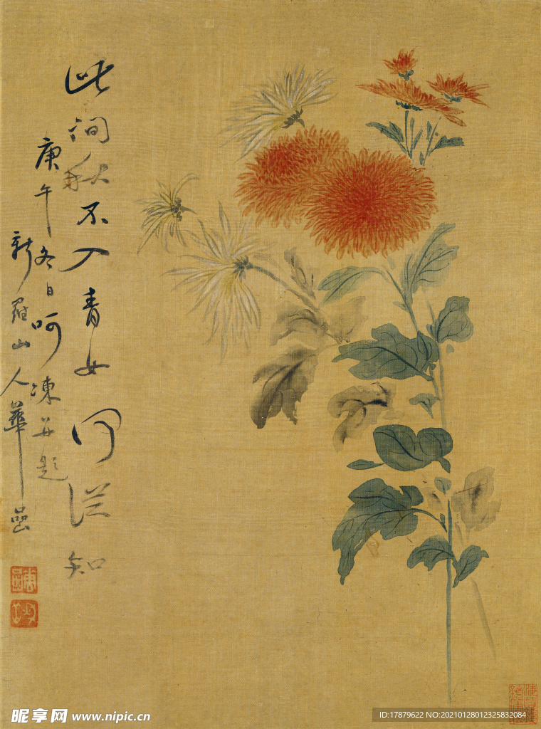 恽寿平国画 菊花