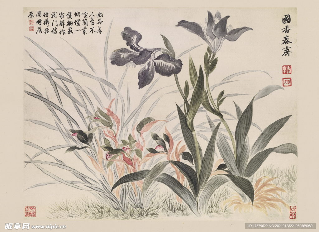 恽寿平国画  兰花