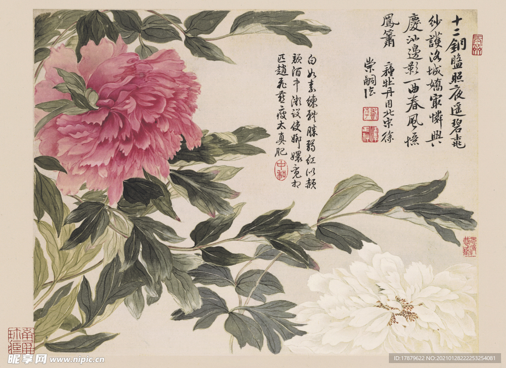 恽寿平国画 牡丹花