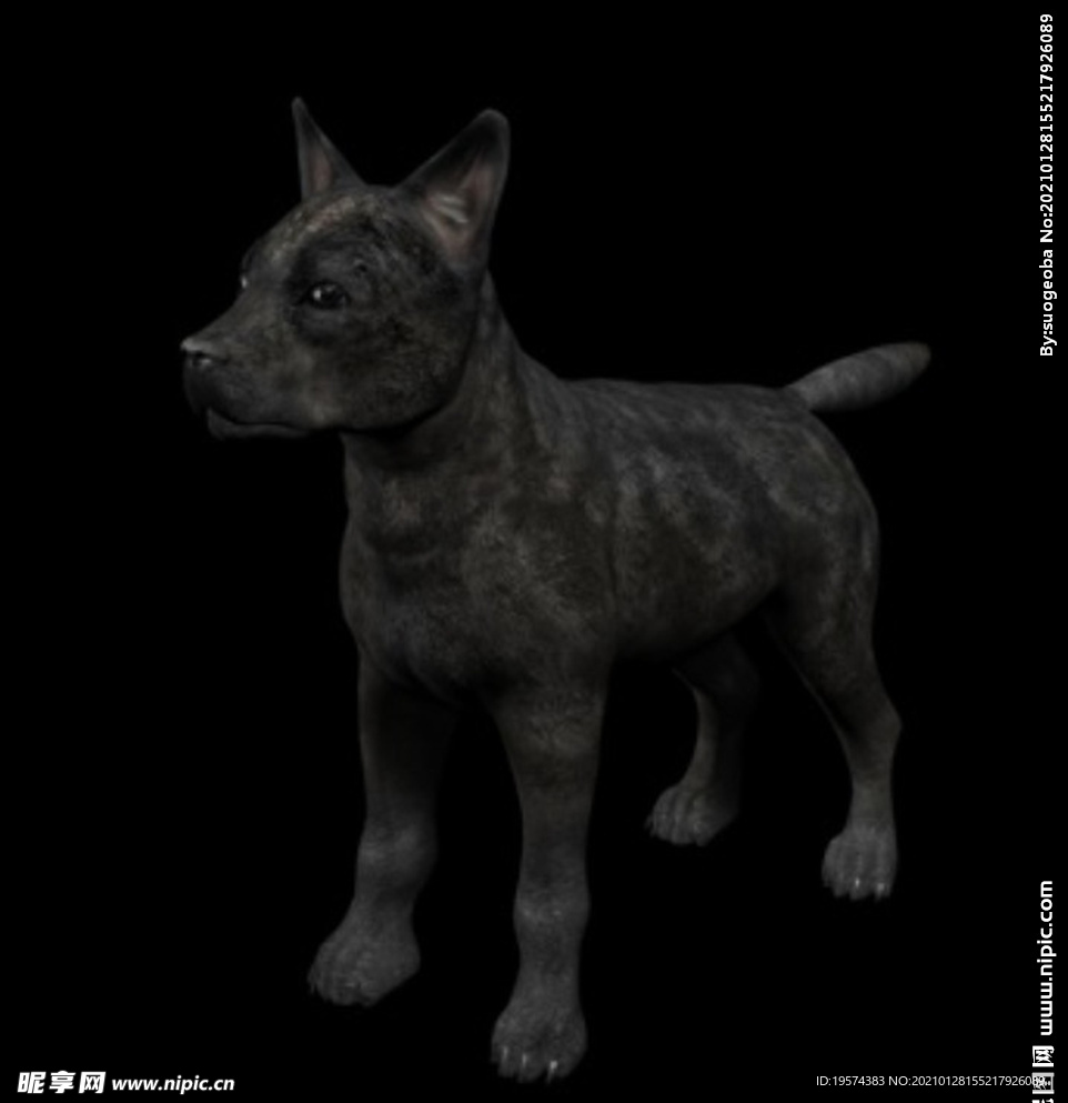 C4D模型 黑色狼犬