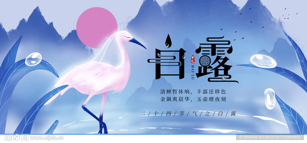 白露节气传统活动海报素材