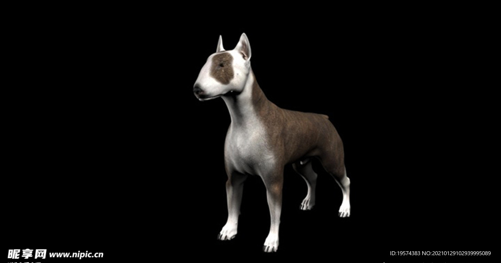 C4D模型 狗斗牛犬