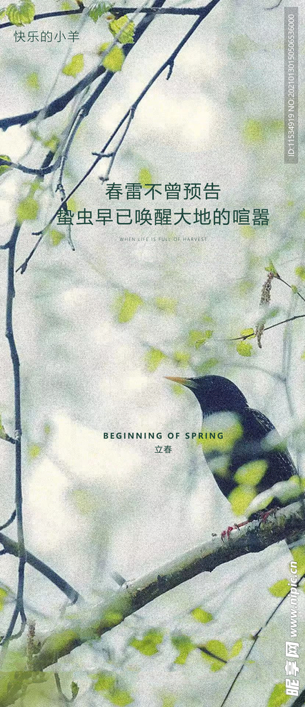 立春节气海报