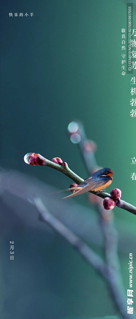 立春节气海报
