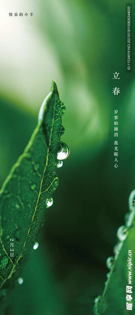 立春节气海报