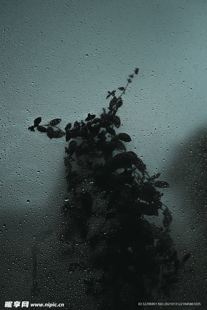 雨珠