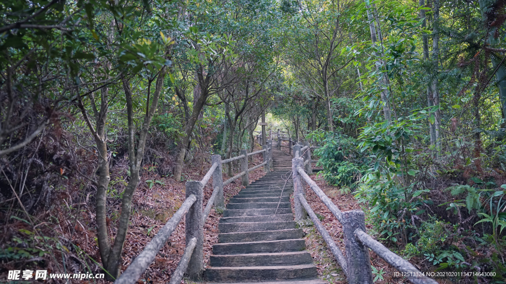 山路石阶