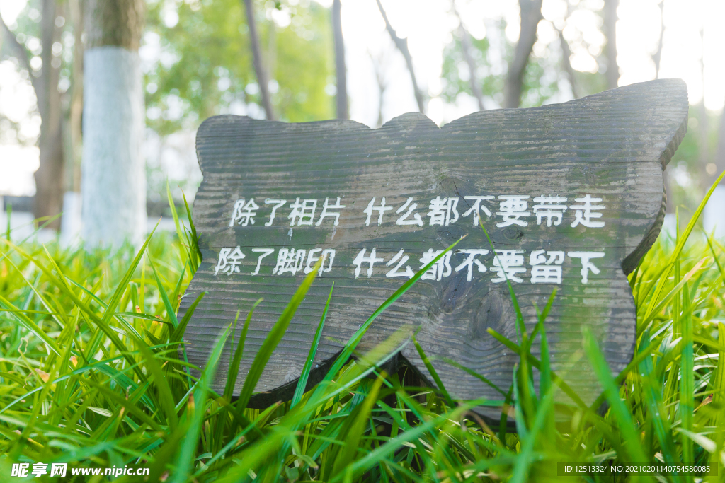 草坪