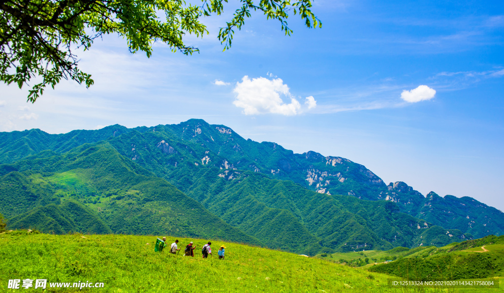 山