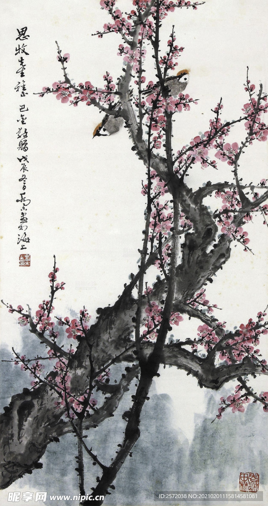 红梅