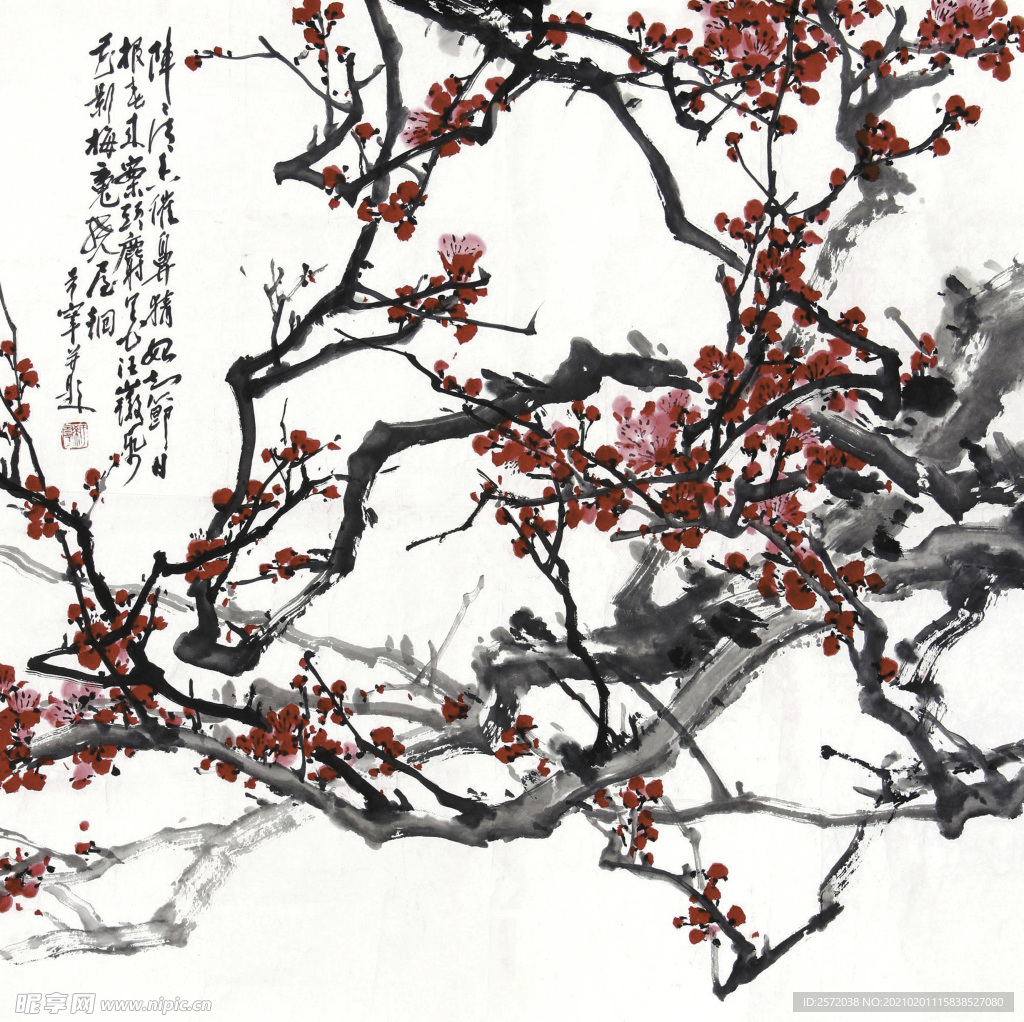 红梅