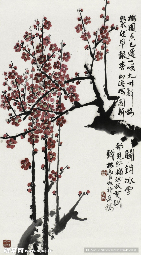 红梅