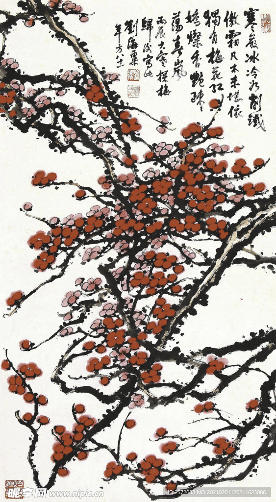 红梅探春