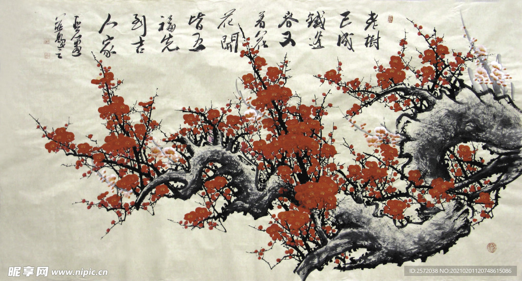 老树逢春