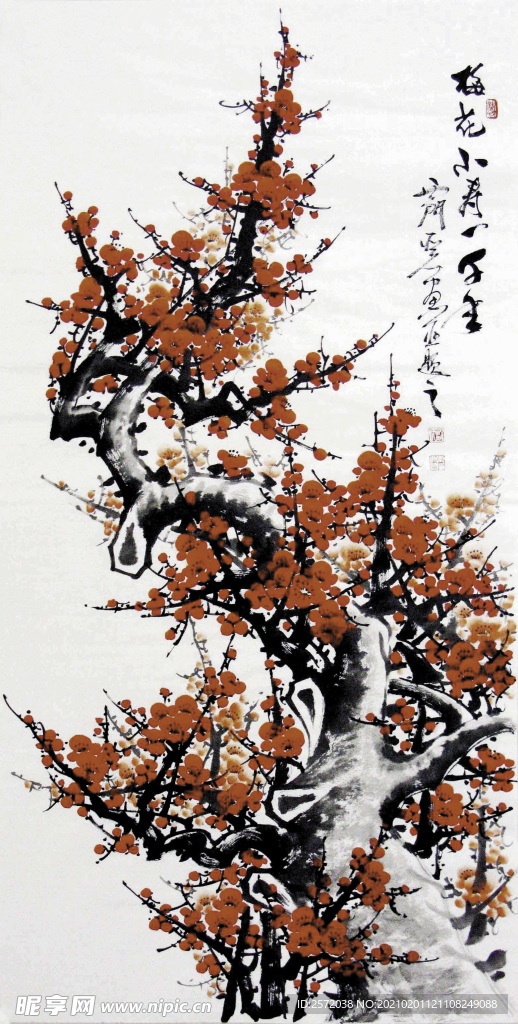 梅花小寿一千年