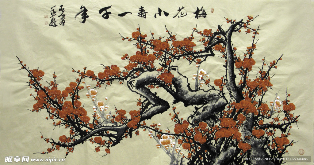 梅花小寿一千年