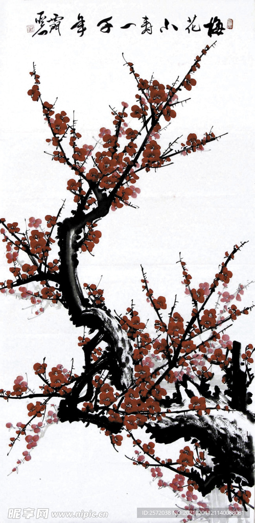 梅花小寿一千年