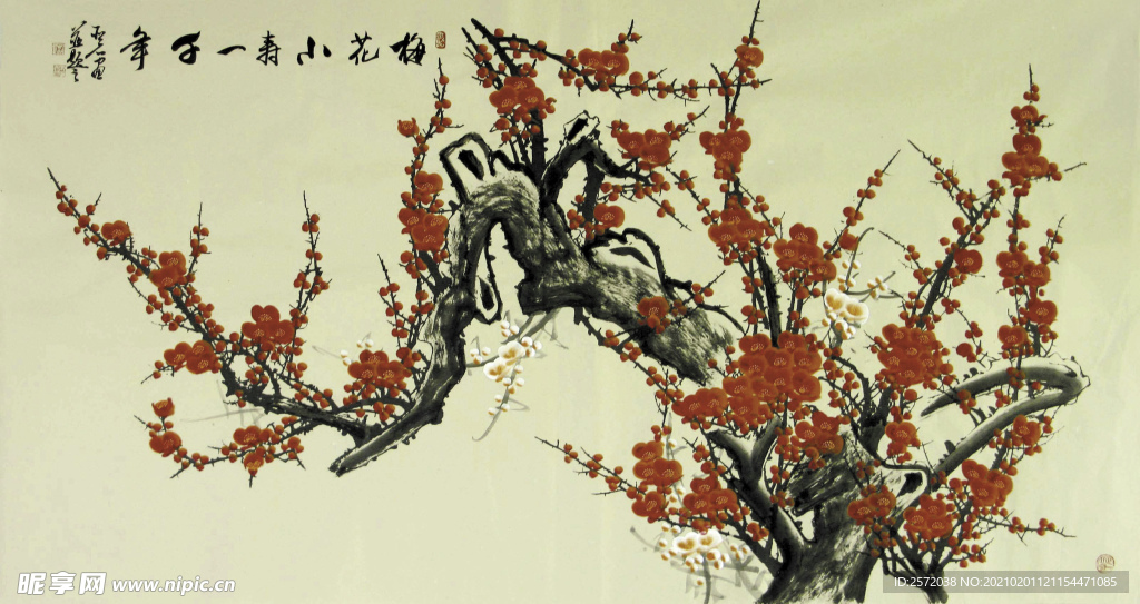 梅花小寿一千年