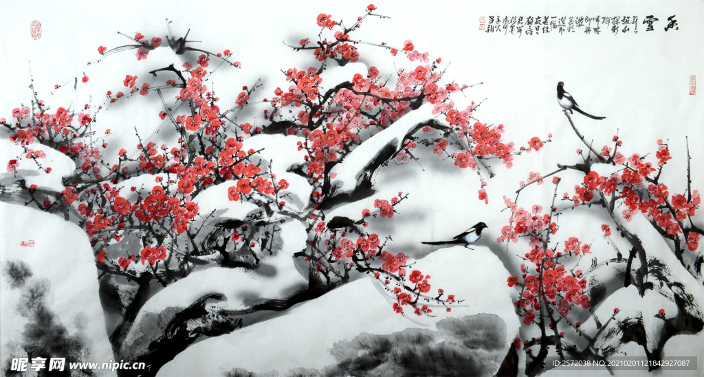 香雪